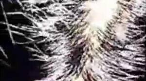 Bold Myanmar Couple Homemade Bed Fucking Squirting