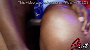 bbc hammers curvy girlfriend's tight wet pussy doggystyle till screaming orgasms in homemade quickie