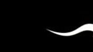 Lexidona bares all solo around Vienna