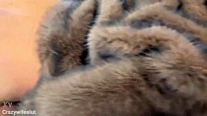 curvy milf slut gaps her huge ass on different sized dildos with fuckmachine moaning to orgasm