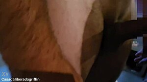 botei o corno chupando pau do comedor anal swingers group brazilian