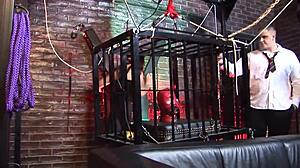 dungeon orgy with stockings blowjobs and doggystyle cumshots