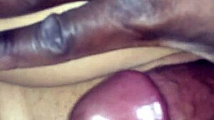 Intriguing Wet Pussy Dripping for Steamy Interracial Action