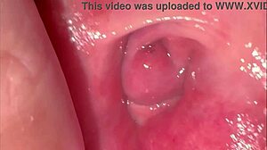 Amateur shaved pink pussy 275 days post virginity loss