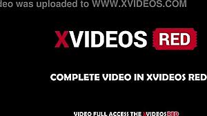 that drunk hung black stranger forced his massive cock deep while i screamed full vid