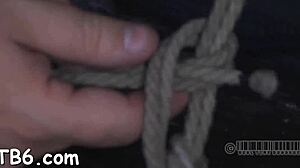 What if bound beauty's clamped nipples unleash her wild side?