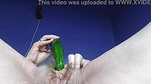 GRANNY STUFFS CUCUMBER IN HAIRY PUSSY!