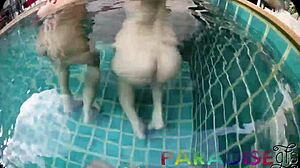 Paradise GFs Twins Take Turns Sucking Cock and Getting Fucked POV